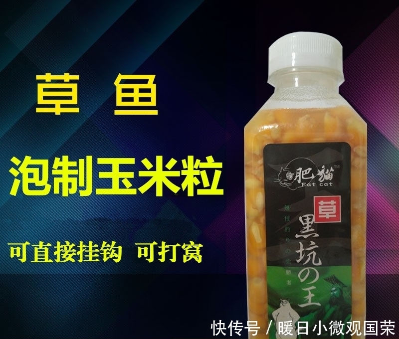 玉米粒钓大鱼,这些窍门你要懂!