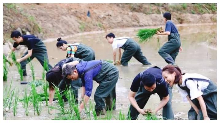 环节|《向往5》悄悄省略了一个环节，遭彭昱畅无情吐槽，黄磊省事了