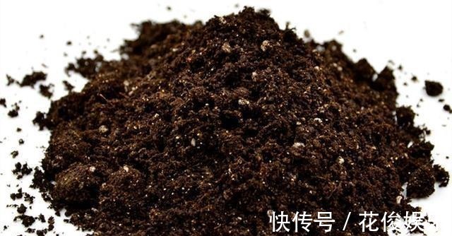 施肥|养花“养根”很重要，5个小妙招，白根粗壮，半年撑爆盆！