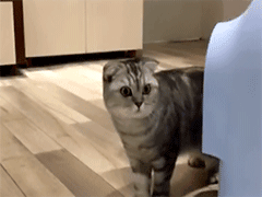 仇恨|93岁的女王,今天也是拉仇恨的一天呢!