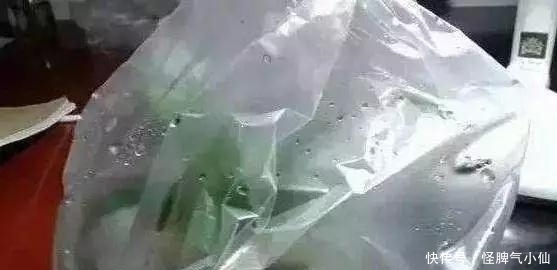 塑料袋太多,很烦人?别烦,用它来养花,养1盆旺1盆,真的很好