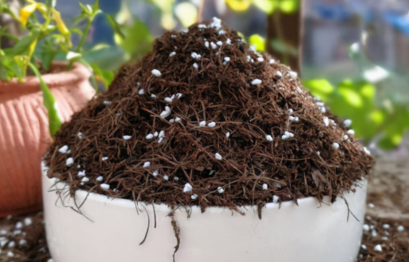 花土问题无小事,牢记3点,养花土不轻易结块,花根长得更壮实