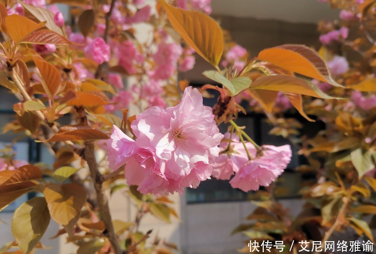 长久之计|曾国藩:居官不过偶然之事,居家乃是长久之计