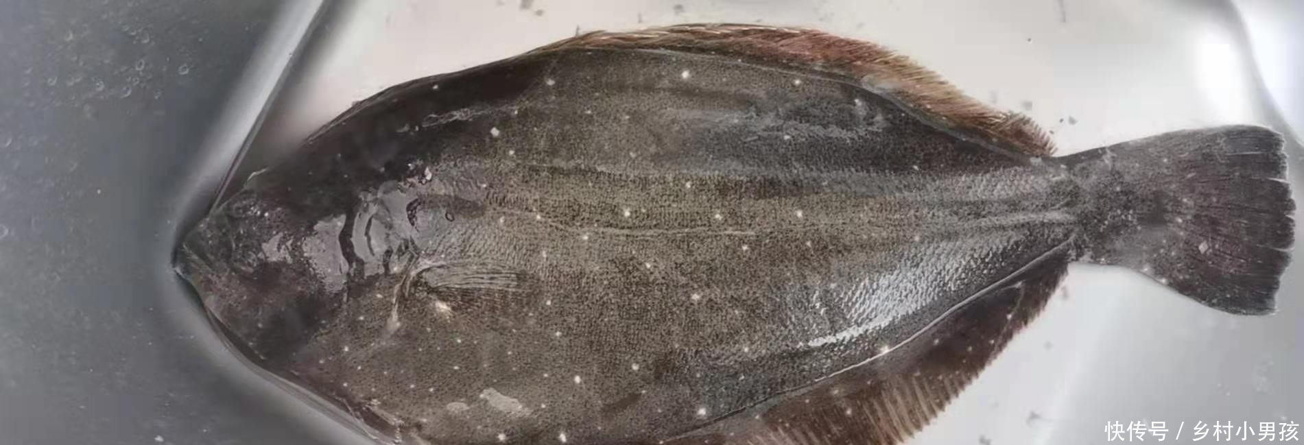 芝罘岛上寻阳主。两千多年过去了,这里有那些美景和美食?