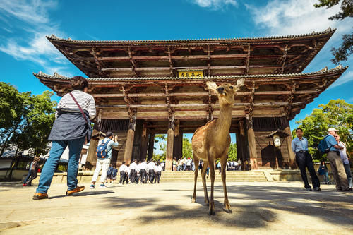 十佳|日本十佳旅行目的地，日本旅行优选的10个地方，你都去过吗？