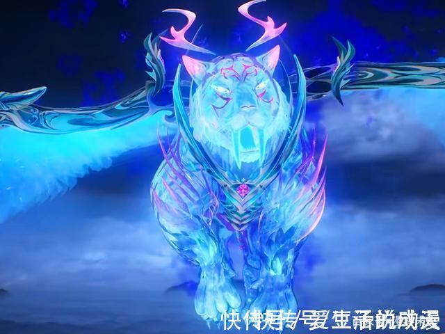 竹清|斗罗大陆小白嘟嘴好可爱,鱼给猫过生日荣荣四枚紫色魂环瞩目