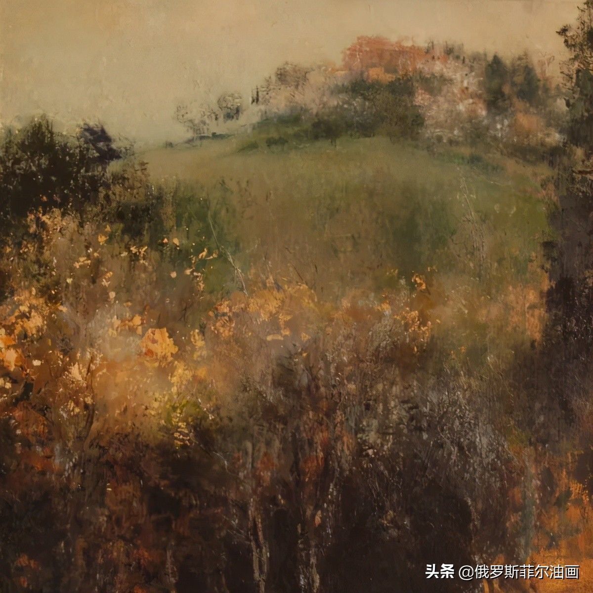 坎迪斯$南非的艺术玫瑰~画家坎迪斯·查尔顿的油画作品欣赏