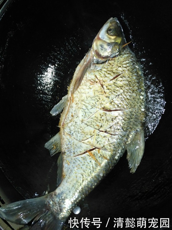 死对头|它是鱼腥的“死对头”,炖鱼时注意下,鱼肉更鲜嫩,一点都不腥!