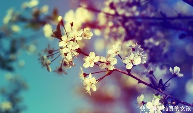 眼中|男人眼中最美的爱是怎样纳兰性德用短短13字,道尽世间最真的爱