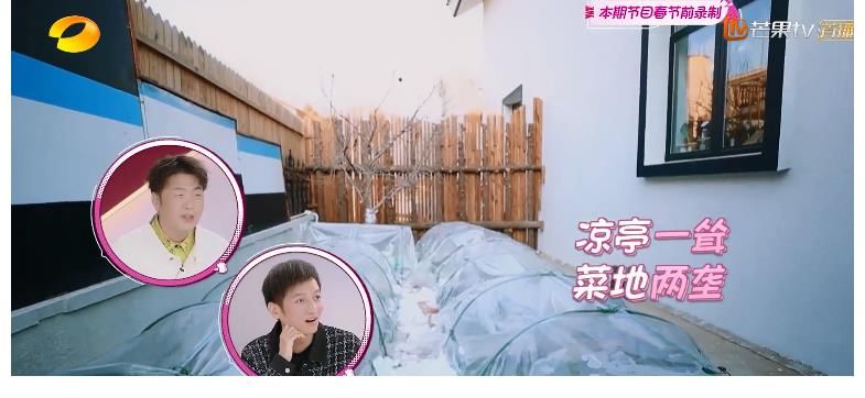 南風(fēng)|娛樂圈在逃手工達(dá)人黃雅莉，寶藏女孩實(shí)錘了