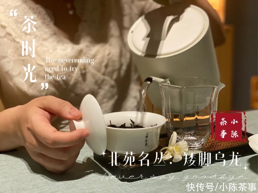 凤凰茶|凤凰单丛、凤凰水仙、岩茶水仙，从历史角度解读水仙茶叶的迁徙史