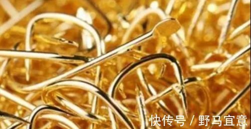 高手|钓鱼高手分享如何选择鱼钩,只买这四种钩型就够了,绝对好用!