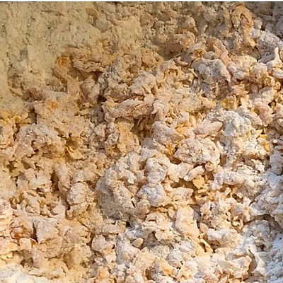 健康美食南瓜馒头