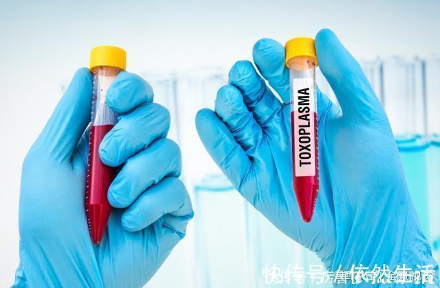 脂蛋白|高血脂怕一种“水”,血脂高的人,穷也别舍不得,血或不稠