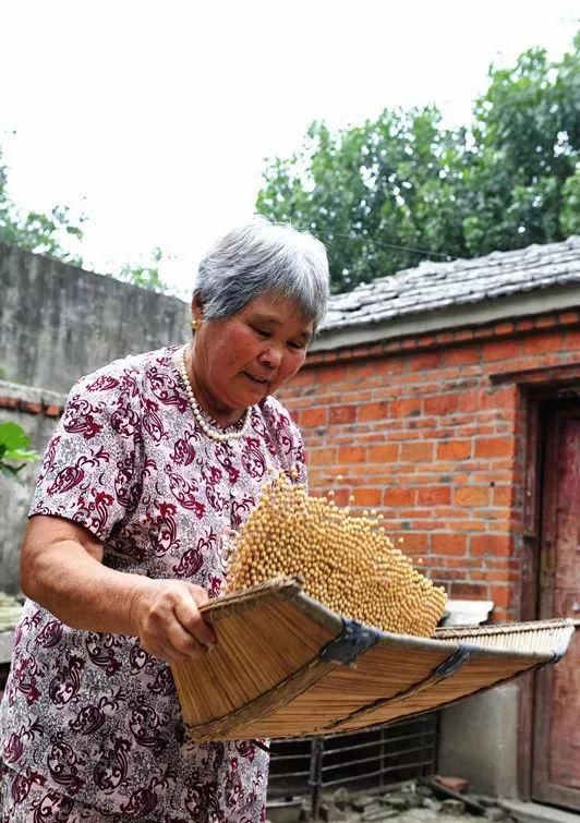 卤面条|咱柘城人的11道家乡饭，一辈子也忘不了...