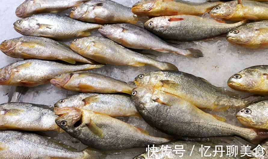 想吃|想吃鱼,就买此6种,目前无法人工养殖,都是野生鱼,放心吃吧