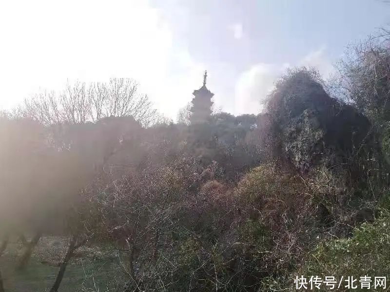 张云鹏|不得了！浙江发现一个1200多年的…