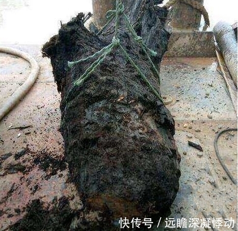 黑木|奇闻:男子打鱼捞出“黑木”,拿去做鉴定,结果乐开了花