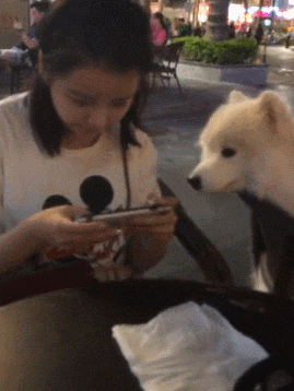 |搞笑gif段子:姑娘这是快要炼成神功了吗