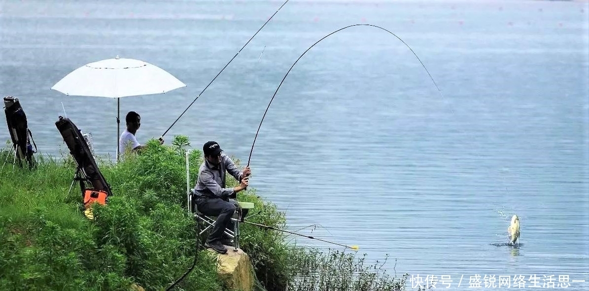 夏季|夏季野钓，突然无鱼口，不是钓技不好，原来是这几种因素
