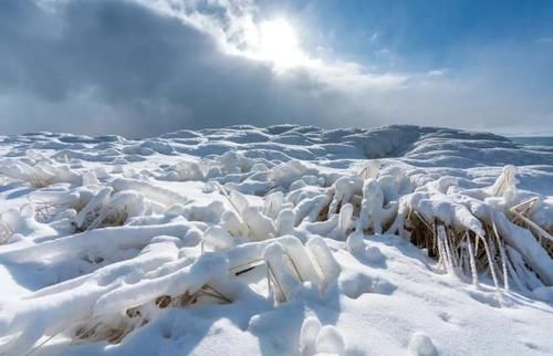 便成|北疆的雪，太美了！