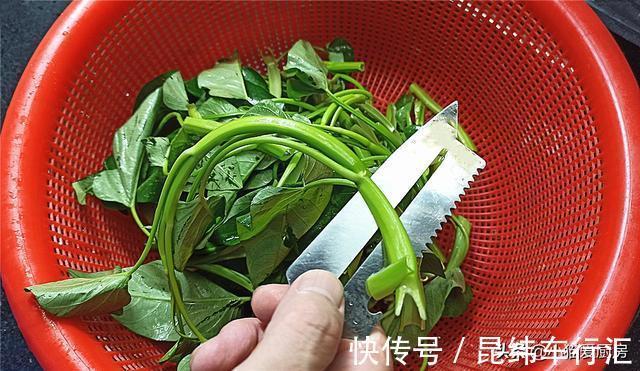 凉拌|空心菜别再炒着吃了，开水汆一下凉拌，清脆爽口，开胃好吃