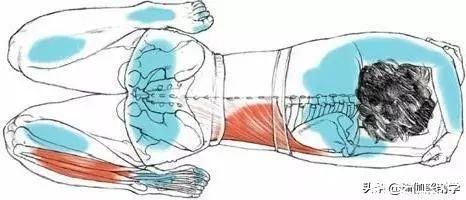 序列|仰卧英雄总是躺不下去这5套瑜伽序列要常练!