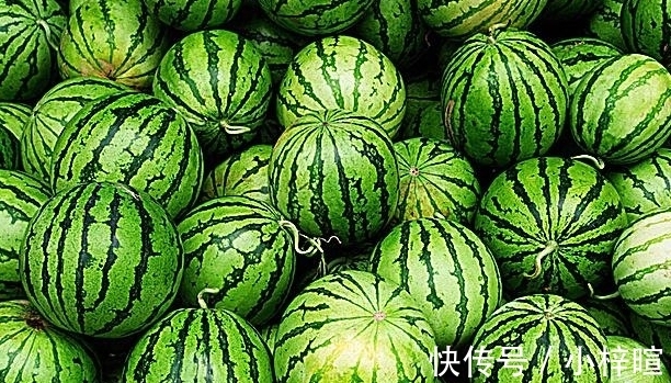 冬瓜|冬瓜、西瓜、南瓜，为什么没有北瓜？其实北瓜我们经常吃