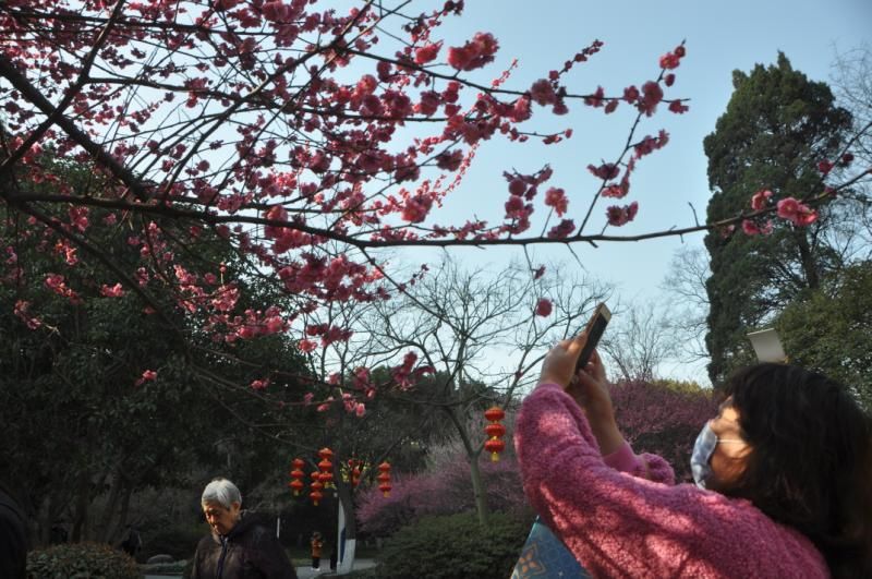 不负春光不负美，骑行、赏花约起来！（一大波美图来袭）