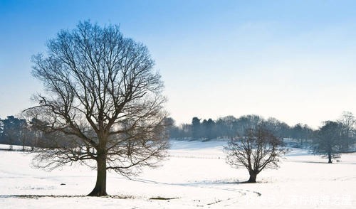 轮回|冬天的乡间,看四季轮回,观冬景乡韵