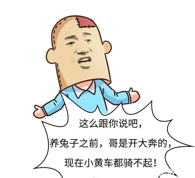 菲李|馋哭四川人的兔子，是如何把澳大利亚人逼疯的？（菲李漫画）