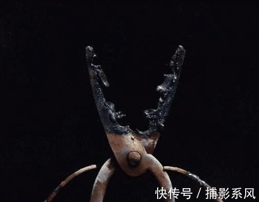 照相机&冷军画纸飞机卖52万,上边小字画得太清晰,专家省的用照相机了