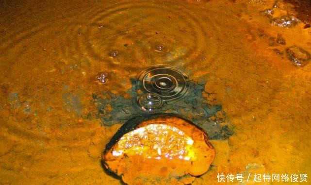 瓶装水 为什么水在地球上几十亿年都不过期,但放到瓶子里很快就过期?