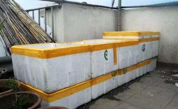 养花神器泡沫箱这般制成自动浇水箱、堆肥箱，省劲、实用！