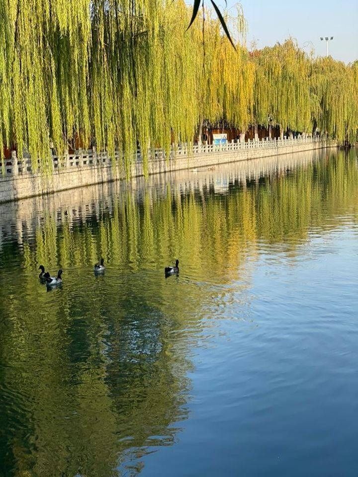 济南|情报站｜初冬百花洲，邂逅幽静享受不一样的济南慢生活