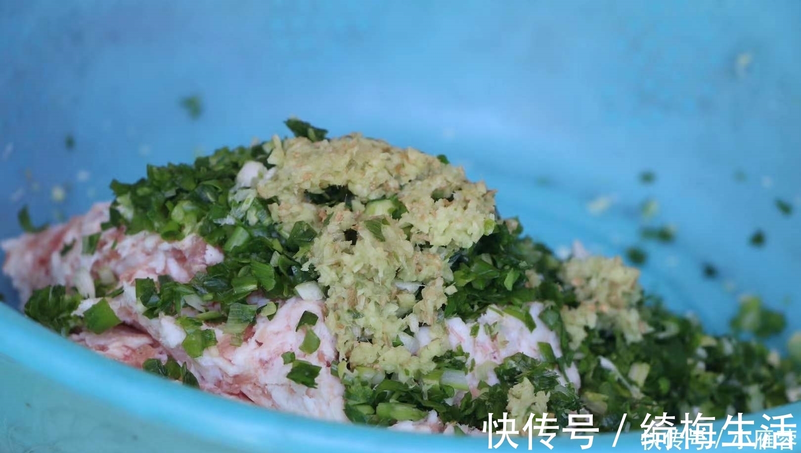 包子|最爱的包子做法,比酵母的好吃,比碱的松软,出锅一顿吃6个