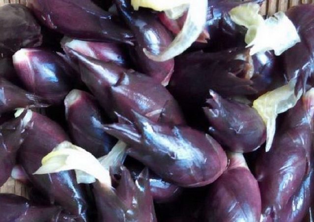 糖尿病|山里人常吃舍不得卖,是糖尿病患者的福音!吃过吗