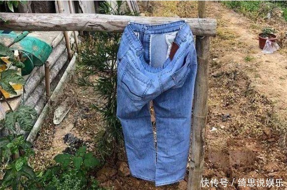 他用这东西养花,把半夜踩点的小偷吓半死,长势旺到不行!