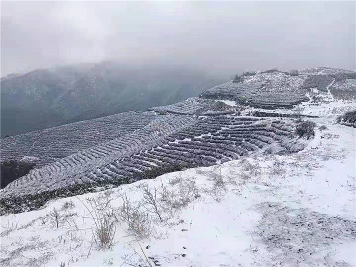 山区|象山又下雪了！山区雪景虽美路难行，非必要不上~