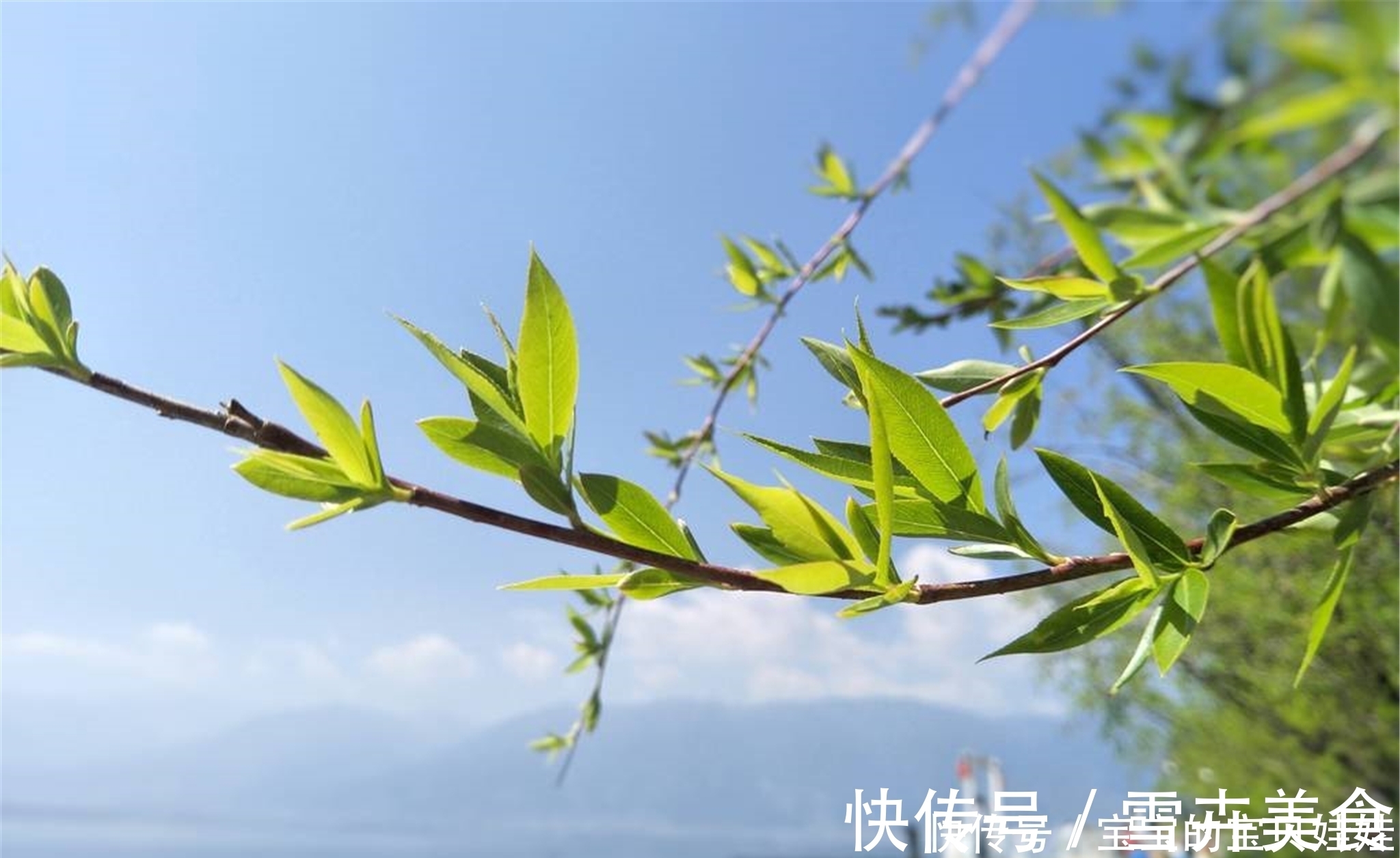 在狱咏蝉$寓意深刻的一首唐诗,仅20个字却称霸古今,其中两句尤其出名