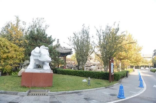 首都绿化办专家组检查验收朝阳区花园式社区创建工作