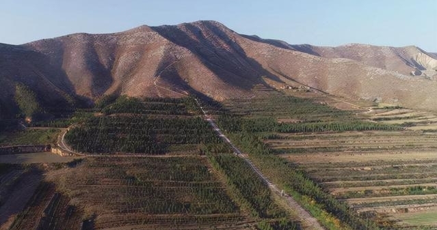 万国俊&因为李白,他被丑化了千年,在1999年出土的墓志铭中,他近乎完美