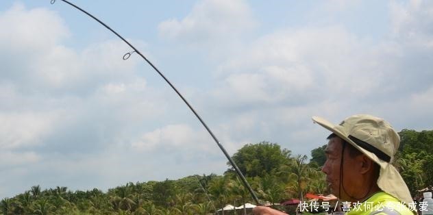 钓友|夏季三伏天钓鱼怎么钓钓鱼高手给你支个招，提高中鱼率！