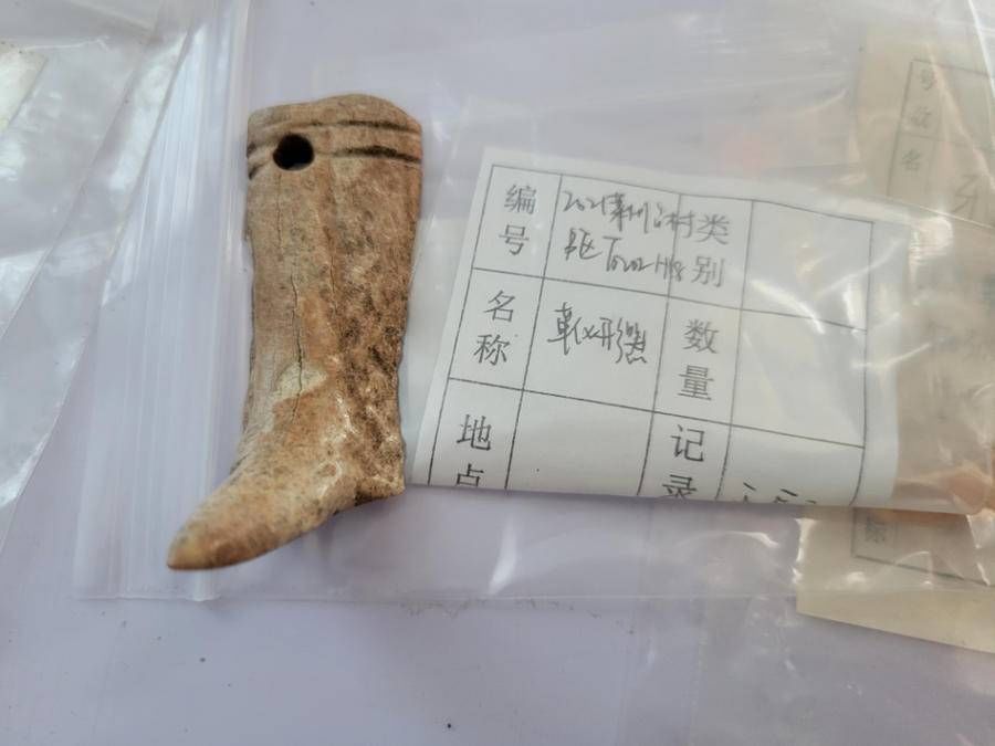 骨器&高铁下的考古⑥：发现4000年前鲸鱼骨，还有 “鹿角靴形器”