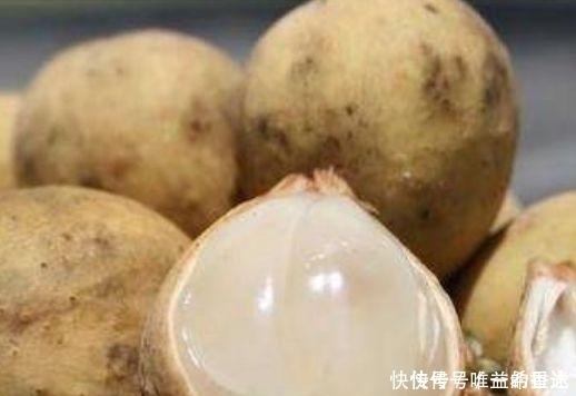 这6种水果,吃过三种以上的就是土豪!第3种是国宝级的珍贵植物!