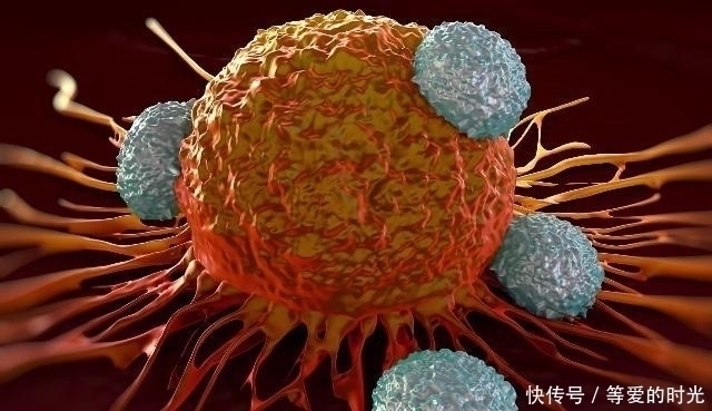 小知识|转告家人：3种“隔夜食物”，第2天可能味道更好，别再傻傻扔掉