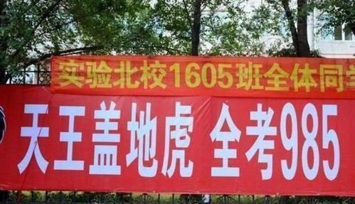 高三学生，若想考上985大学，各个科目要考多少分