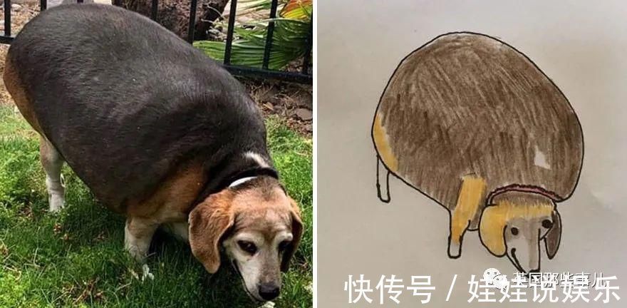 pet#随手涂鸦,自己觉得是“垃圾”的画作,没想到却在网上卖疯了