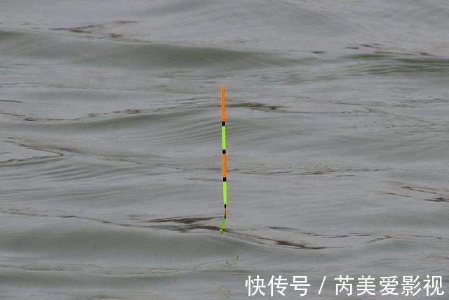 调钓到底准不准，不用看调几钓几，用这两招就能精准判断