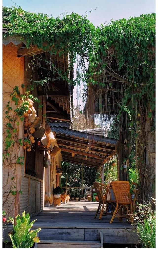 向往的生活|《向往的生活5》錄制地點(diǎn)現(xiàn)狀，圖書館無人管理，蘑菇屋一片狼藉